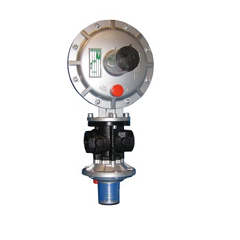 Gas Pressure Regulators: Dival 500